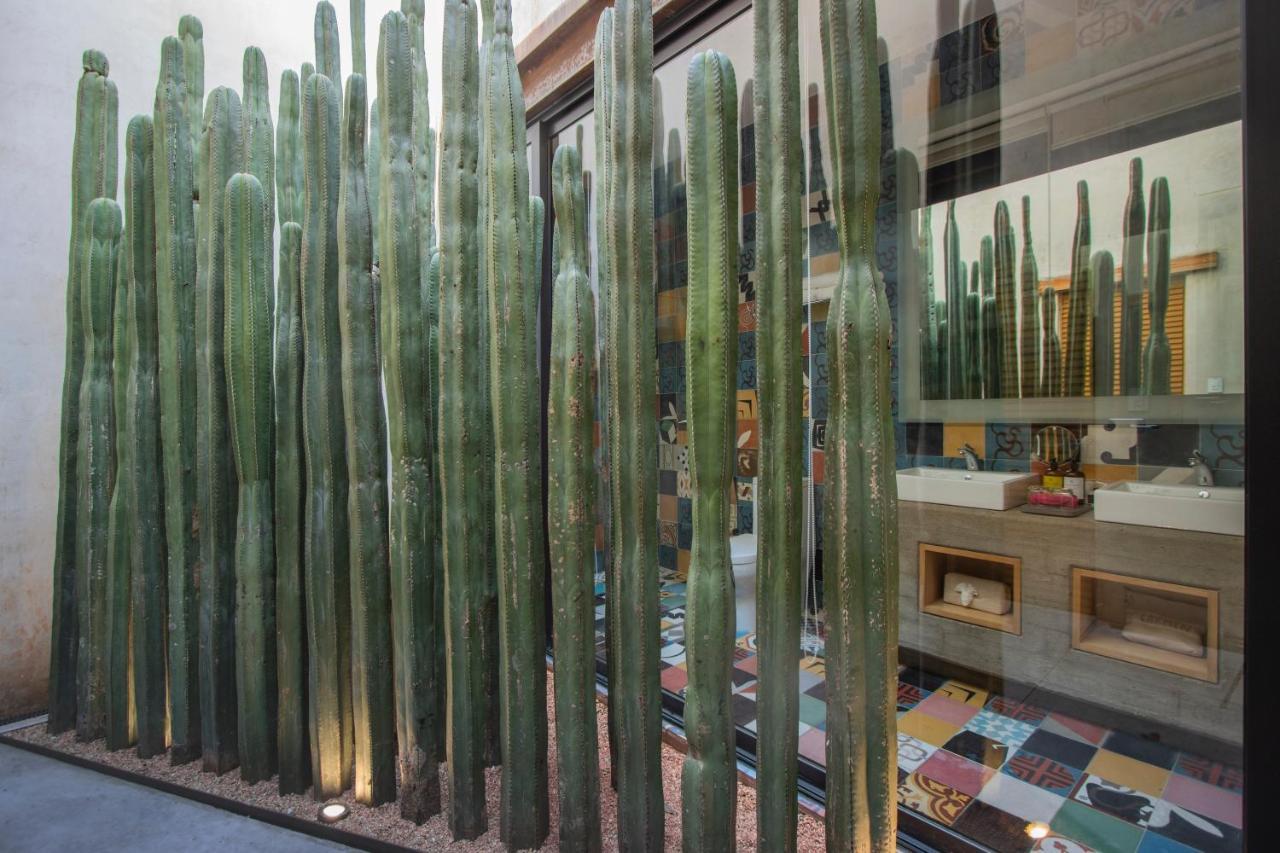 Casa Carmen Reforma Hotel Oaxaca Buitenkant foto