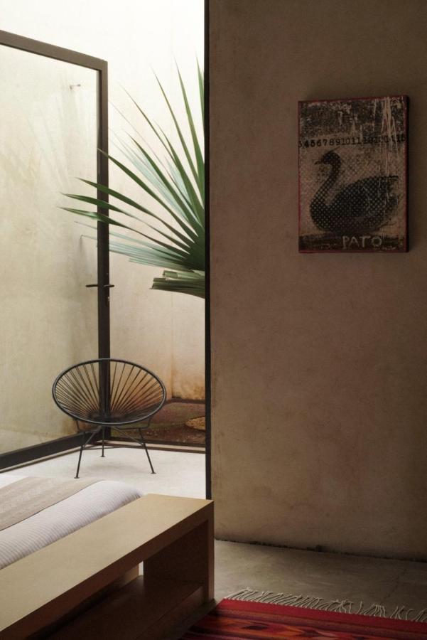 Casa Carmen Reforma Hotel Oaxaca Buitenkant foto