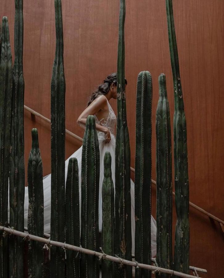 Casa Carmen Reforma Hotel Oaxaca Buitenkant foto