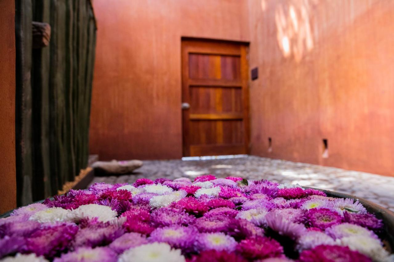 Casa Carmen Reforma Hotel Oaxaca Buitenkant foto